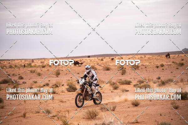 Buy your photos of the eventMerzouga 2019 on Fotop