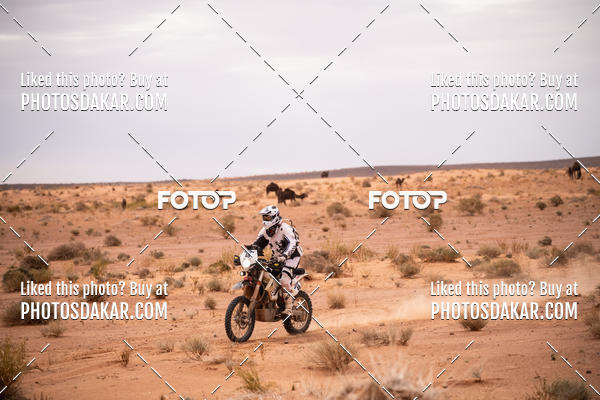 Buy your photos of the eventMerzouga 2019 on Fotop