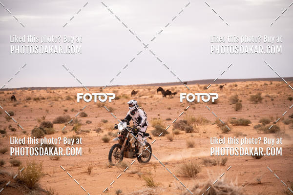 Buy your photos of the eventMerzouga 2019 on Fotop