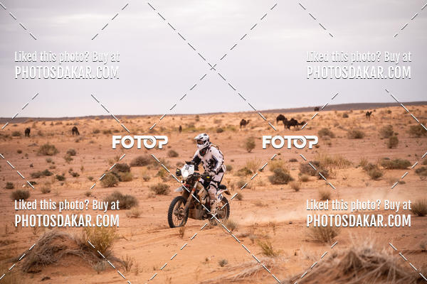 Buy your photos of the eventMerzouga 2019 on Fotop