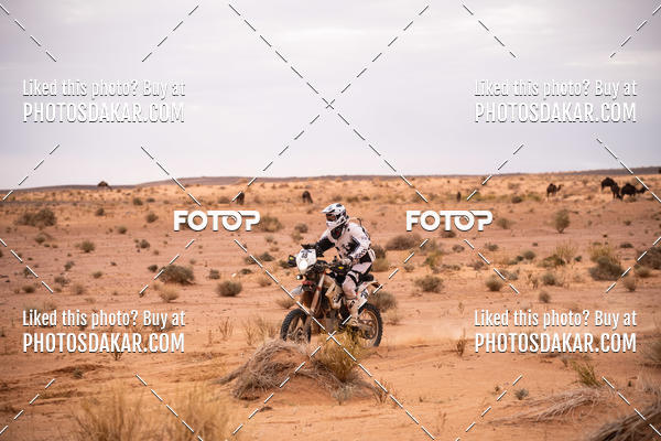 Buy your photos of the eventMerzouga 2019 on Fotop