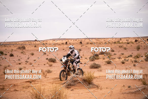 Buy your photos of the eventMerzouga 2019 on Fotop