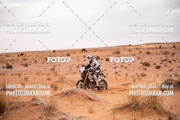 Buy your photos of the eventMerzouga 2019 on Fotop