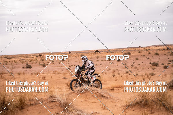 Buy your photos of the eventMerzouga 2019 on Fotop