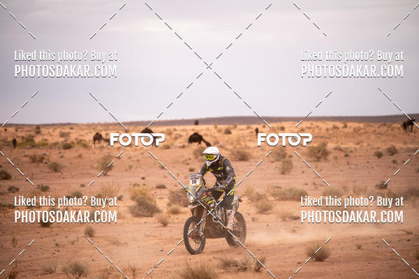 Buy your photos of the eventMerzouga 2019 on Fotop