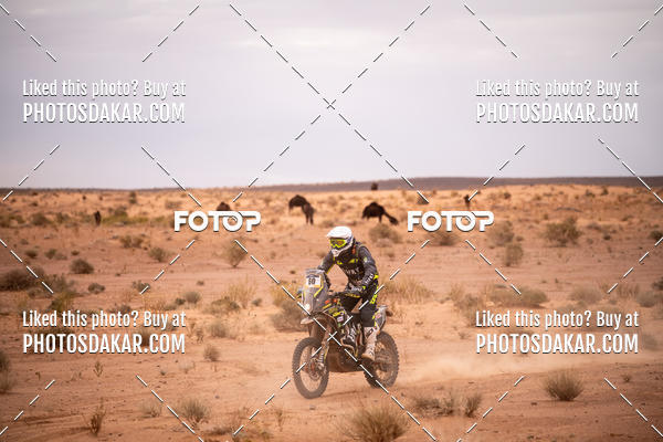 Buy your photos of the eventMerzouga 2019 on Fotop
