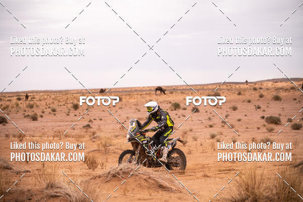 Buy your photos of the eventMerzouga 2019 on Fotop