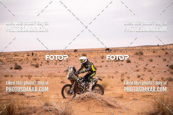 Buy your photos of the eventMerzouga 2019 on Fotop