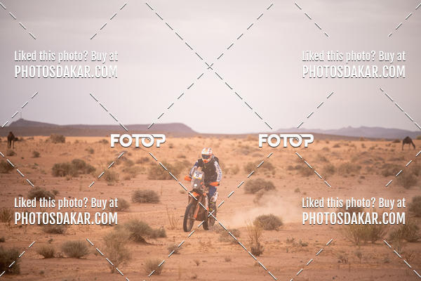 Buy your photos of the eventMerzouga 2019 on Fotop