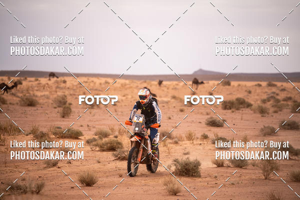 Buy your photos of the eventMerzouga 2019 on Fotop