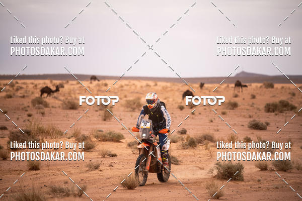 Buy your photos of the eventMerzouga 2019 on Fotop