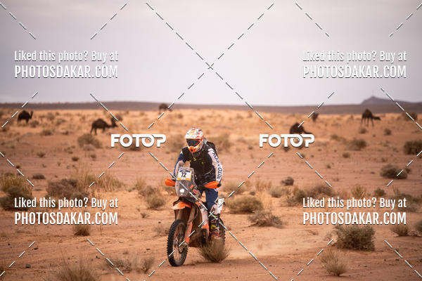 Buy your photos of the eventMerzouga 2019 on Fotop