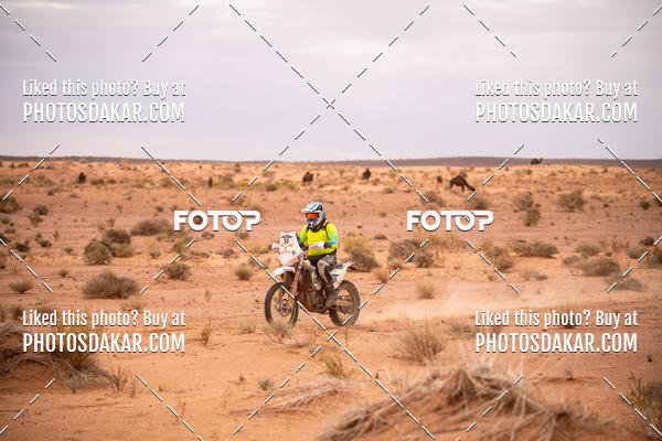 Buy your photos of the eventMerzouga 2019 on Fotop