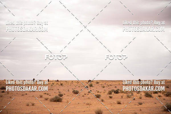 Buy your photos of the eventMerzouga 2019 on Fotop