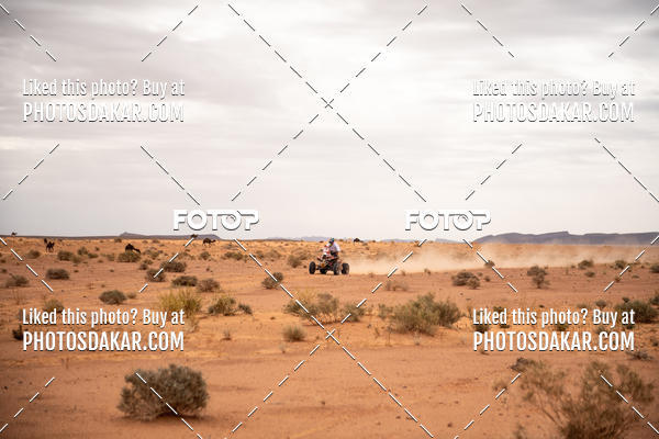 Buy your photos of the eventMerzouga 2019 on Fotop