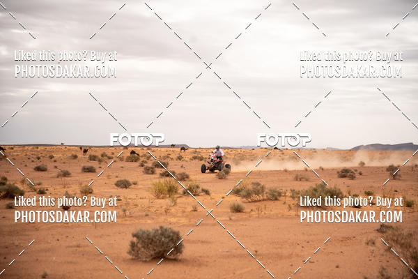 Buy your photos of the eventMerzouga 2019 on Fotop