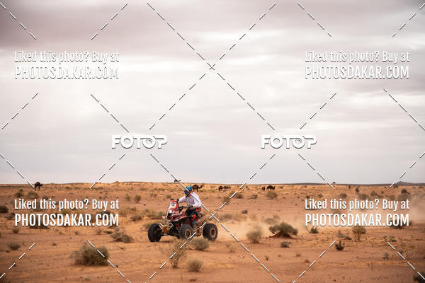 Buy your photos of the eventMerzouga 2019 on Fotop