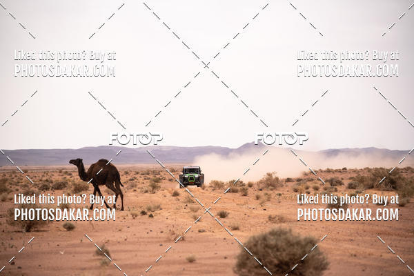 Buy your photos of the eventMerzouga 2019 on Fotop