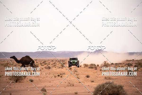 Buy your photos of the eventMerzouga 2019 on Fotop