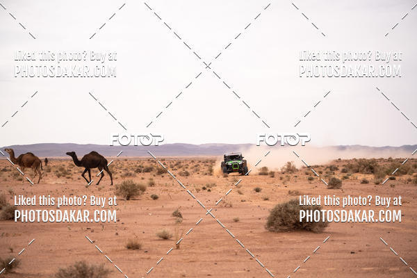 Buy your photos of the eventMerzouga 2019 on Fotop