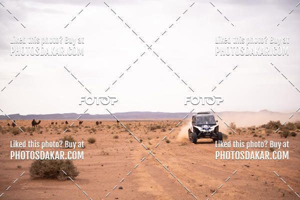 Buy your photos of the eventMerzouga 2019 on Fotop