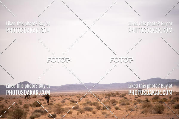 Buy your photos of the eventMerzouga 2019 on Fotop