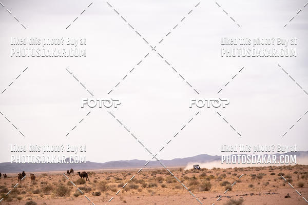 Buy your photos of the eventMerzouga 2019 on Fotop