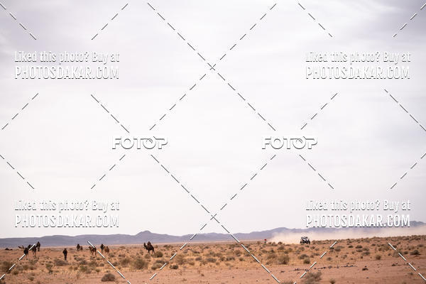 Buy your photos of the eventMerzouga 2019 on Fotop