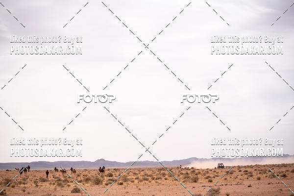 Buy your photos of the eventMerzouga 2019 on Fotop