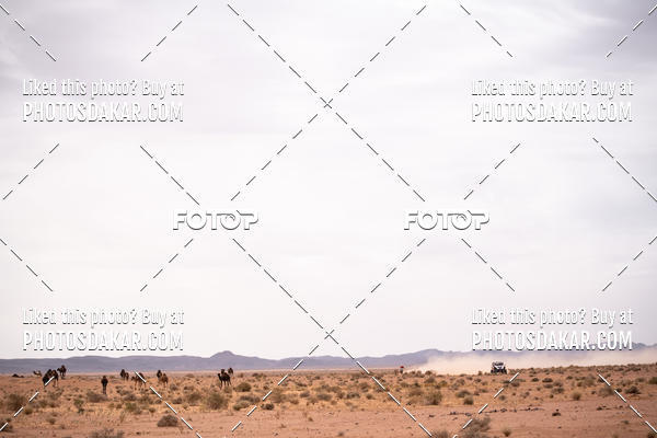 Buy your photos of the eventMerzouga 2019 on Fotop