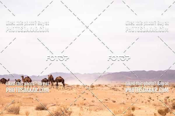 Buy your photos of the eventMerzouga 2019 on Fotop
