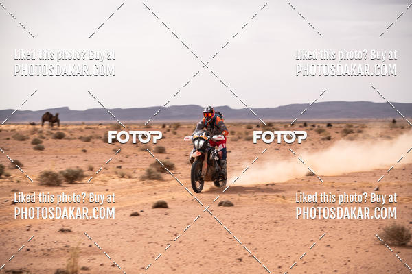 Buy your photos of the eventMerzouga 2019 on Fotop