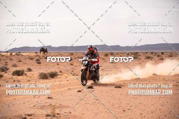 Buy your photos of the eventMerzouga 2019 on Fotop