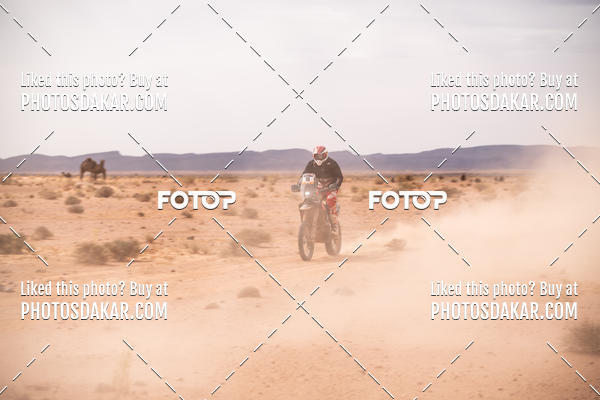 Buy your photos of the eventMerzouga 2019 on Fotop