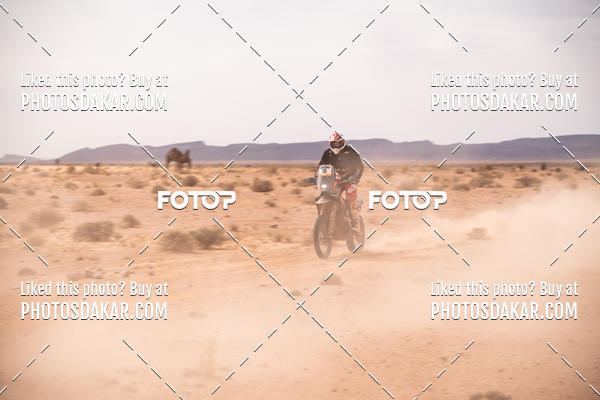 Buy your photos of the eventMerzouga 2019 on Fotop