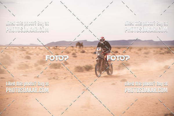 Buy your photos of the eventMerzouga 2019 on Fotop