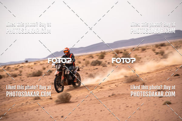 Buy your photos of the eventMerzouga 2019 on Fotop