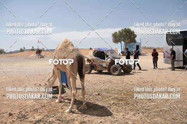 Buy your photos of the eventMerzouga 2019 on Fotop