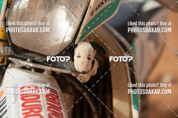 Buy your photos of the eventMerzouga 2019 on Fotop