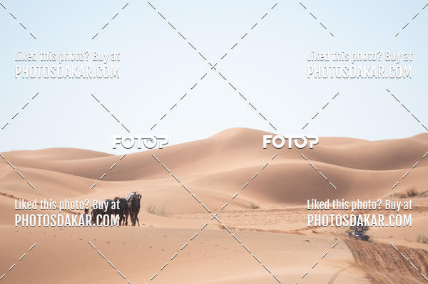 Buy your photos of the eventMerzouga 2019 on Fotop