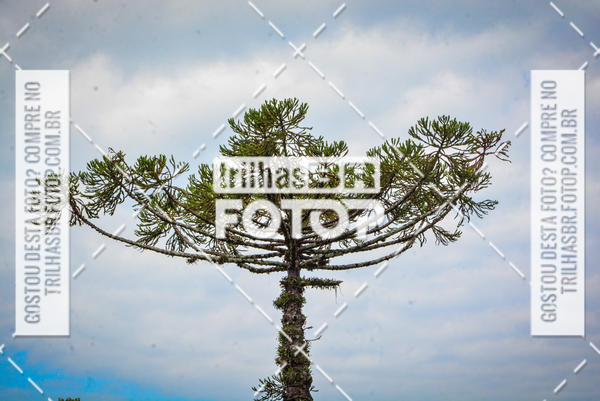 Buy your photos of the eventPedal Ekonova on Fotop