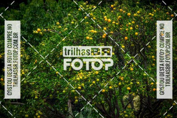 Buy your photos of the eventPedal Ekonova on Fotop