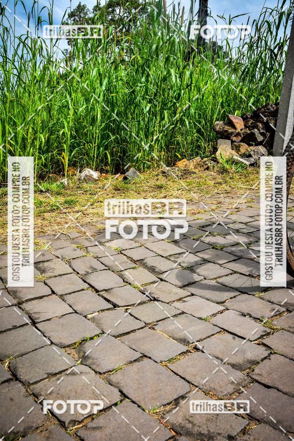 Buy your photos of the eventPedal Ekonova on Fotop