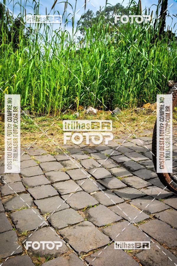 Buy your photos of the eventPedal Ekonova on Fotop