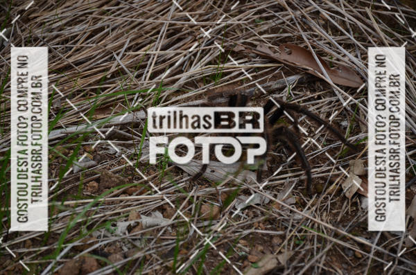 Buy your photos of the eventPedal Ekonova on Fotop