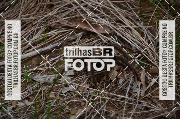 Buy your photos of the eventPedal Ekonova on Fotop