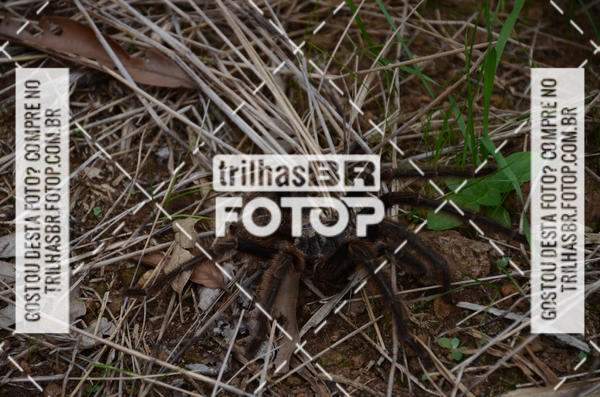 Buy your photos of the eventPedal Ekonova on Fotop