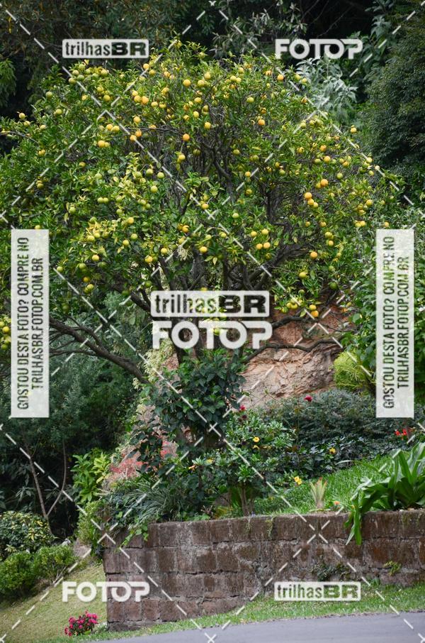 Buy your photos of the eventPedal Ekonova on Fotop
