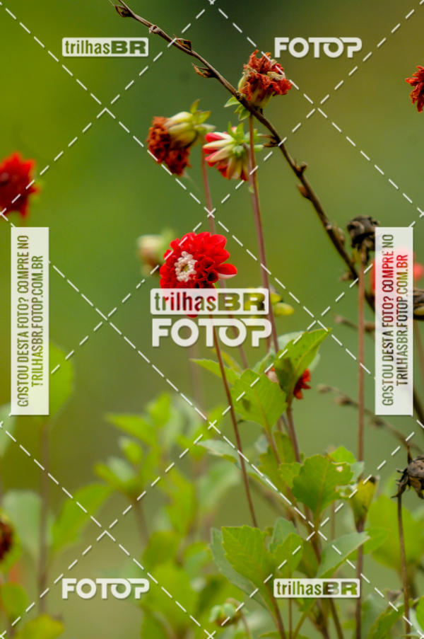 Buy your photos of the eventPedal Ekonova on Fotop