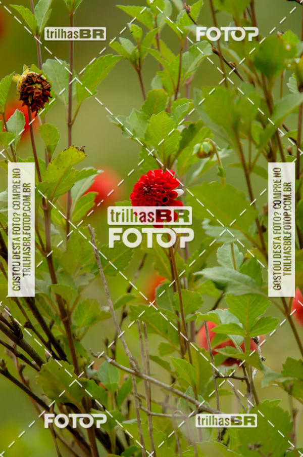 Buy your photos of the eventPedal Ekonova on Fotop